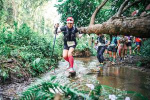 BIB: 
                            <button type="button" onclick="openModal(25516285)" class="btn btn-primary btn-sm float-right btn-popup" data-toggle="modal" data-target=".modal-high-quality">
                        <i class="fas fa-shopping-cart"></i> Add to Cart
                    </button>
                                            <button type="button" onclick="isThisMe(25516285, true)" class="btn btn-success btn-sm float-right btn-popup btn-isme hidden" data-toggle="tooltip" data-placement="bottom" title="นี่คือรูปของคุณใช่ไหม คลิกที่นี่เพื่อเอาเข้าอัลบั้ม">
                        <i class="fas fa-plus"></i> Add to album
                    </button>
                    <button type="button" onclick="isThisMe(25516285, false)" class="btn btn-warning btn-sm float-right btn-popup btn-isnotme hidden">
                        <i class="fas fa-ban"></i> Remove from album
                    </button>